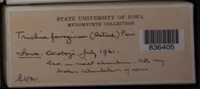 Image Associated With the Occurence